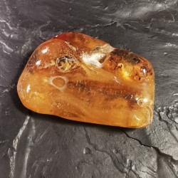 Copal de Madagascar - pièce unique avec des insectes 2 -  2ème chakra